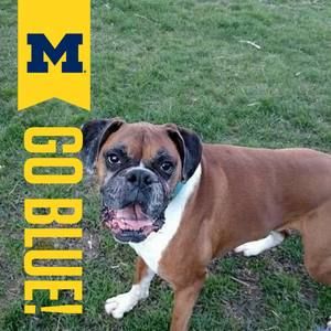 Meet your Posher, Rich